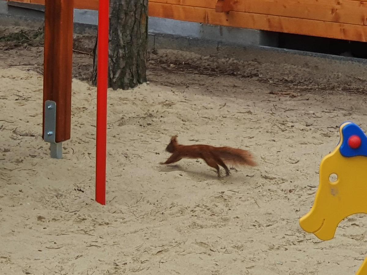 Domki Gromadka Wielen Zaobrzanski Luaran gambar